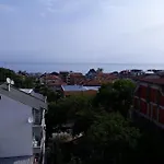 диана дик