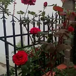 диана дик Kiten (Burgas)